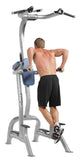 CF-3962 FITNESS TREE