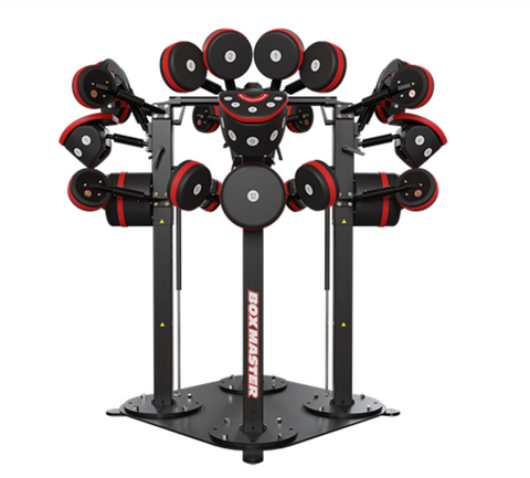 StairMaster BoxMaster Quad