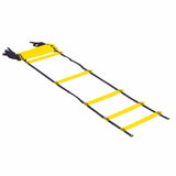 Prism Fitness Modular Acceleration Ladder