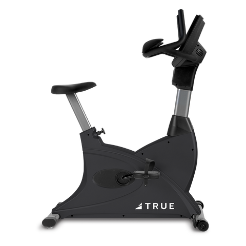 TRUE Fitness 200 Commercial Upright Bike
