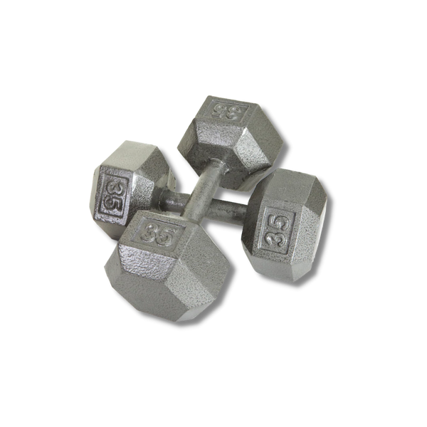 VTX Troy 12-Sided Solid Gray Cast Iron Dumbbells w/Steel, Contoured Handle
